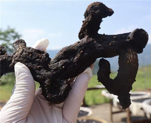 2026040400301202560.014 2026040400301202560.014