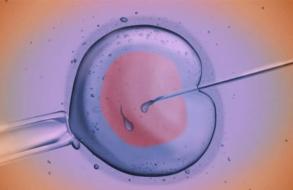 202604161449419429 202604161449419429