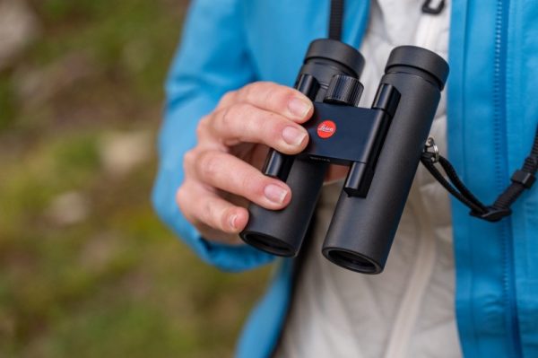 20260417124917874879071