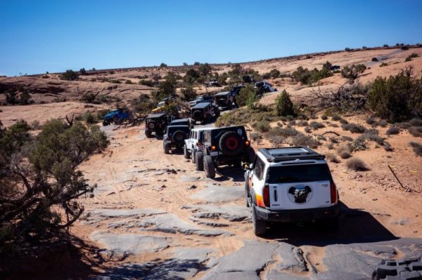 202604201516091716185645-1