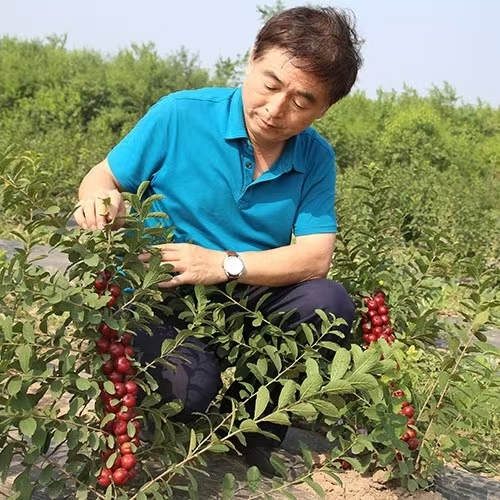 2026042016560768920.002