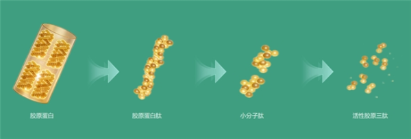 2026042209595848385.003