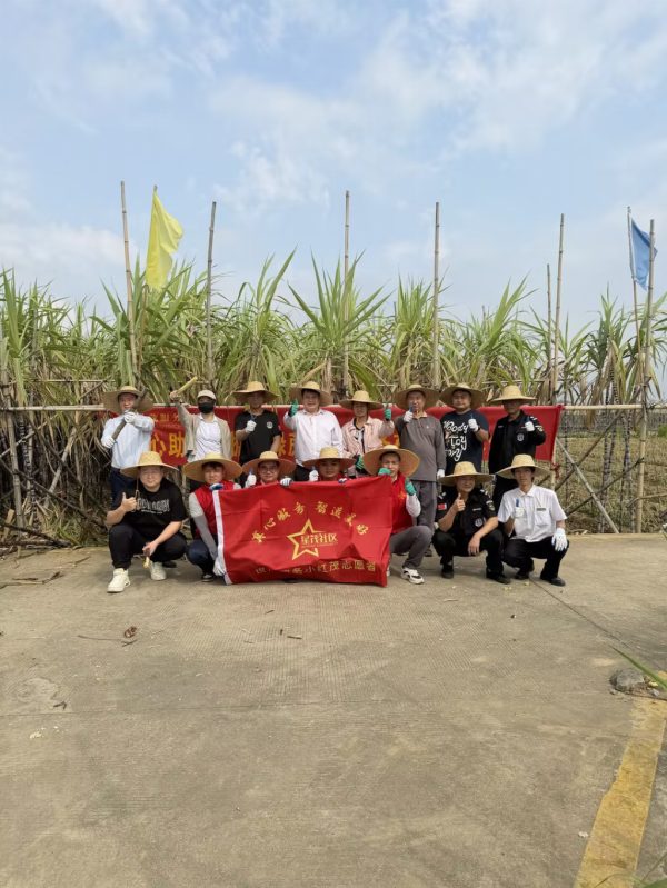 315fc16d-7124-4339-90f4-b2b44d61bec9-1