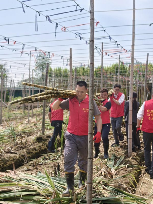 365a859f-9b99-4cab-9a71-ec64b1abc6fa-1