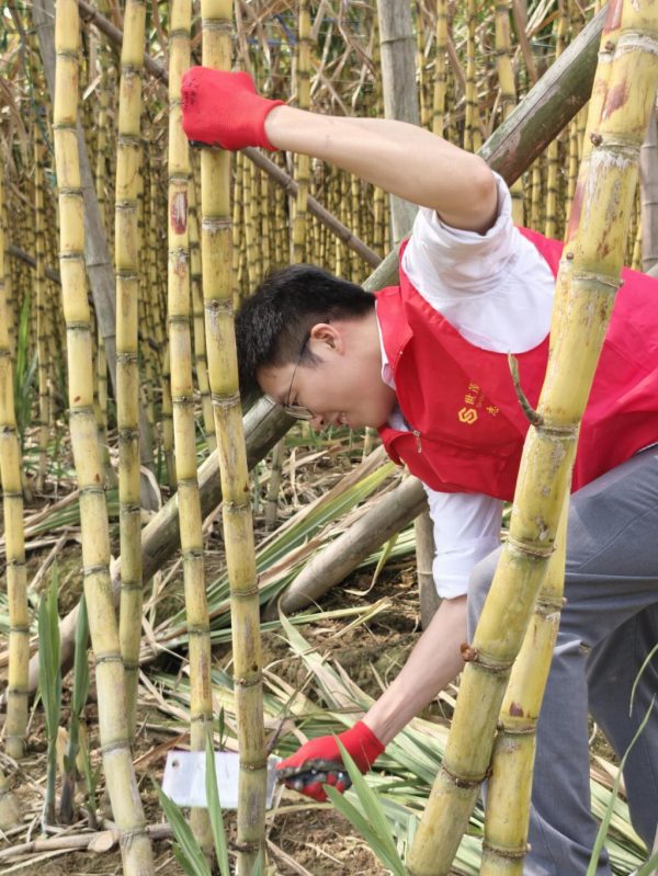 385ef4b7-2b66-4806-9267-3a3a8062caf4-1