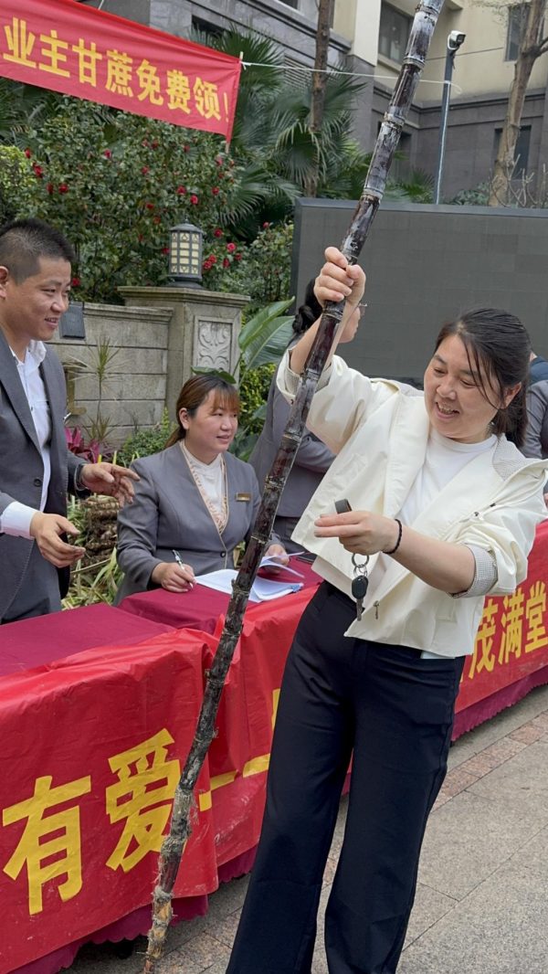 3a02b6cc-d06d-4368-ab3c-20384fd7edaa-1