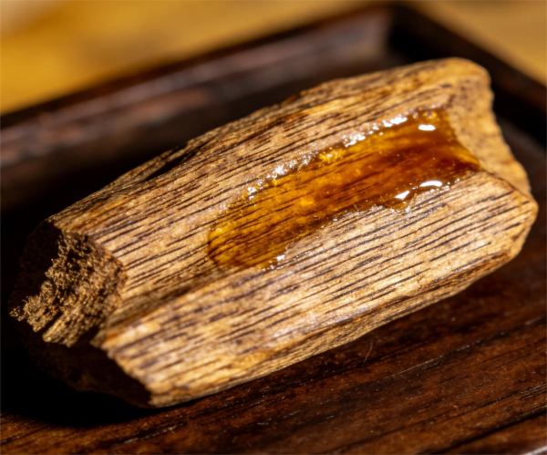 6391116921551771737054272-1 6391116921551771737054272-1