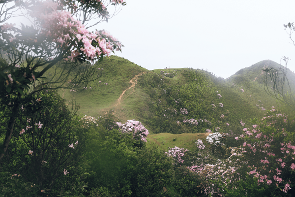 88df3fe47aac4ffcba8a94dfb8b80664