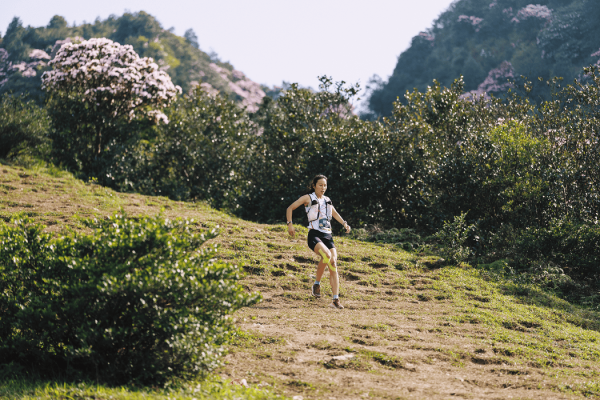 92220a533b3f46c592130f077d432f0c