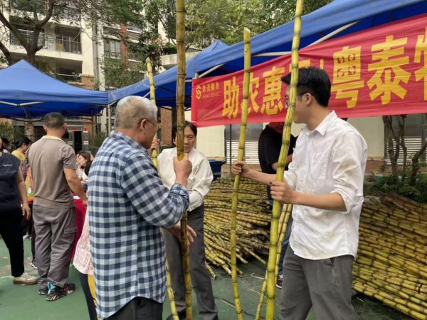 95d51ce1-cc91-4fd4-b5b6-78f684d702e7-1