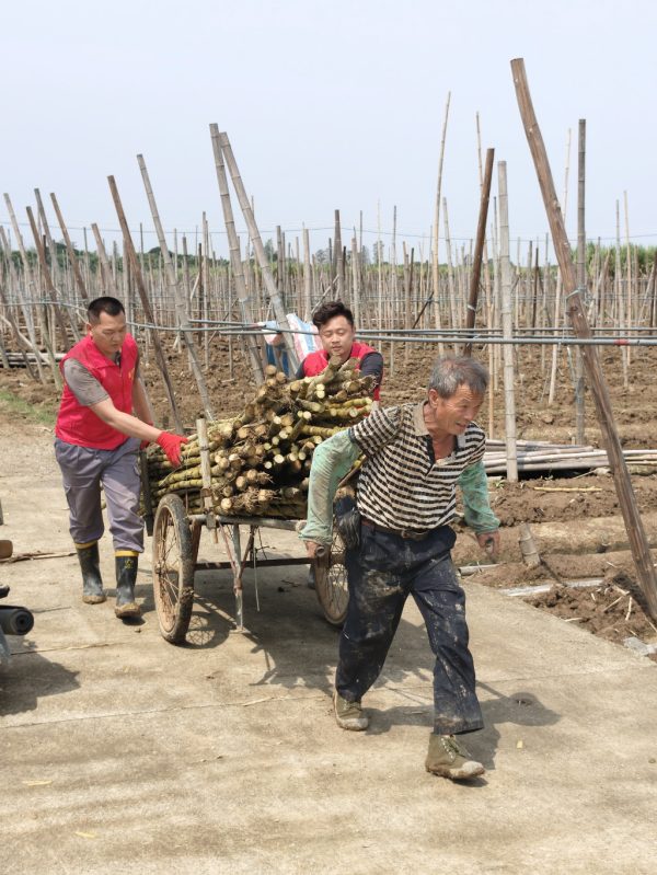 a7164337-fe82-4338-8b25-0915761abce4-1