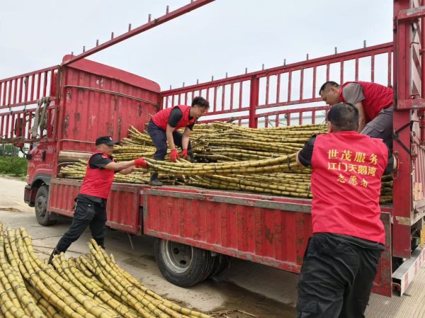 bdd9dd49-0e3b-4404-90fa-bff560d2cc16-1