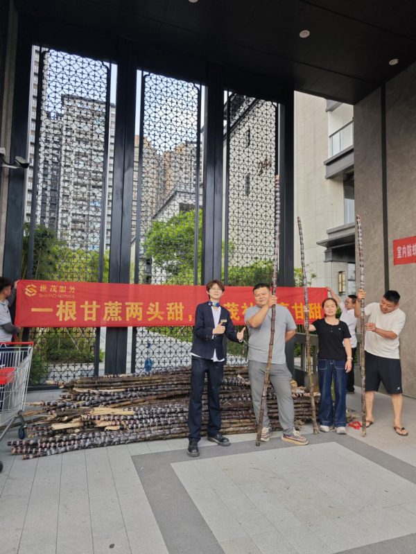 c400ac53-7bad-45c9-bffc-938c75ff1754-1