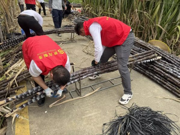 ca0def79-032f-4998-acab-0fc3f9492f9e-1