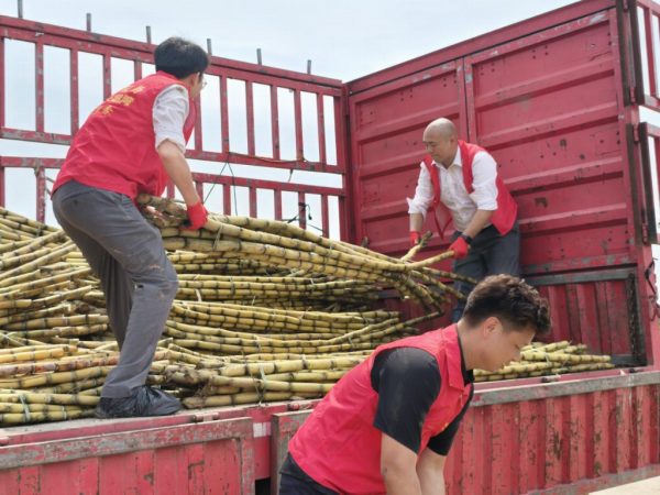 d065389e-fba9-41a1-8baa-ec4147e3e354-1