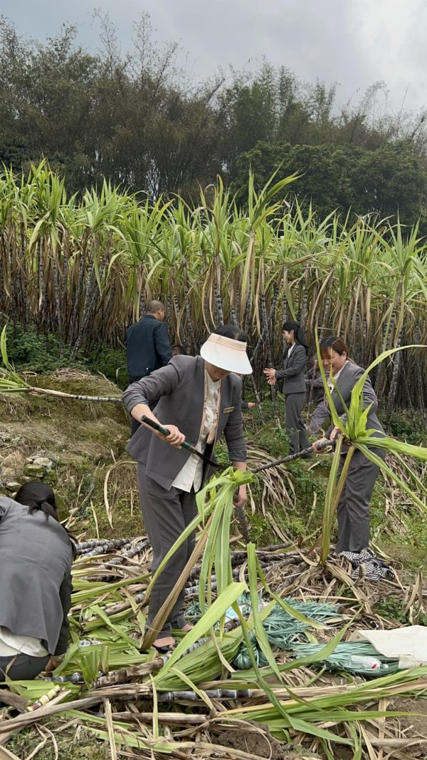 df5a9841-296d-4e17-981b-1f0f184fcff9-1