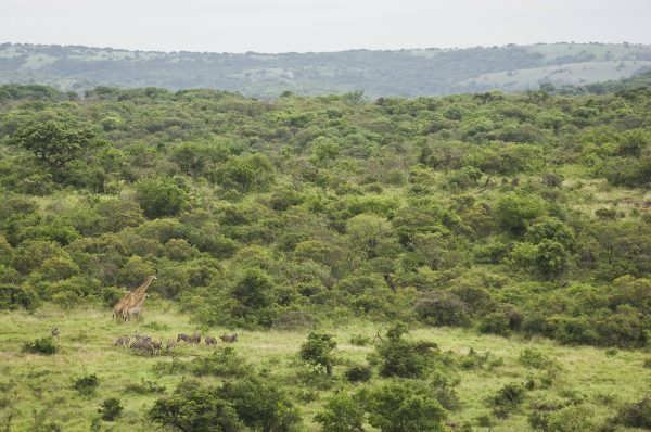 f468cec4b211f1fc7b2f811f515d330b