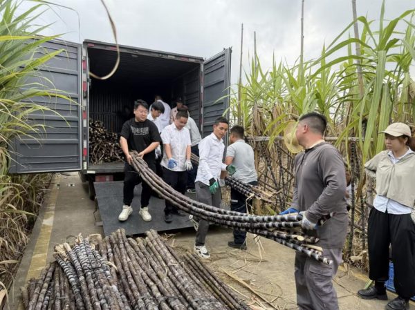 f522f16d-f321-49c4-a3ea-0ecc876b19e0-1