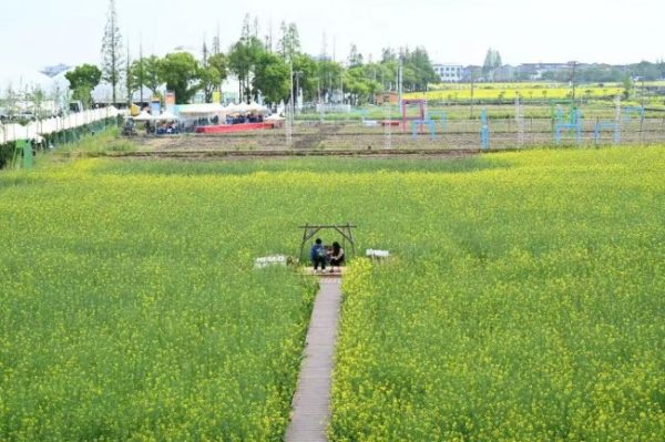 image2_sm-30