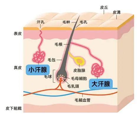 image1-3 image1-3