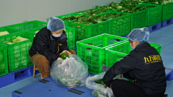 image5_sm-6