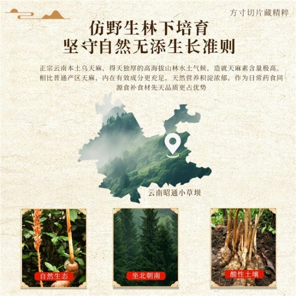 天麻产品