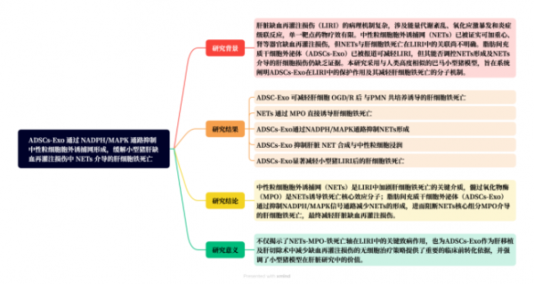 6cb41ae5b658d750a56fe206e27b2102fd6e2b96_sm