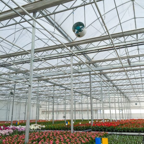 document_image_rId4_sm-45