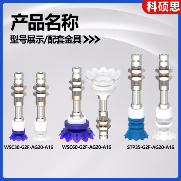 image3_sm-13