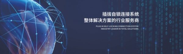 document_image_rId5_sm-77