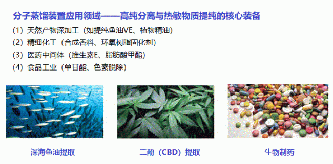 document_image_rId5_sm
