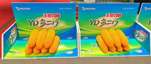 8ce0eedc8c95886a369cd895fbf2970b