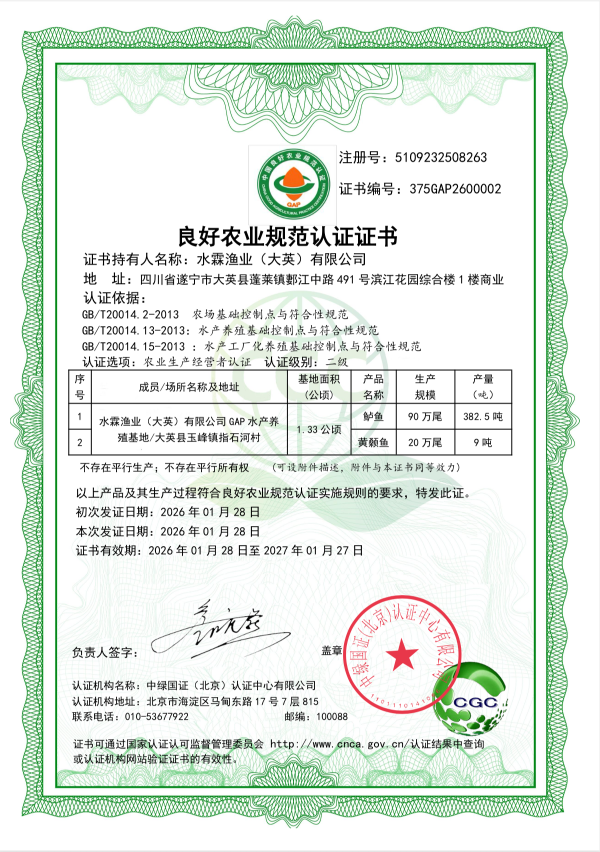document_image_rId4-56