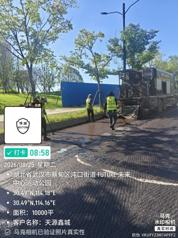 document_image_rId4_sm-279