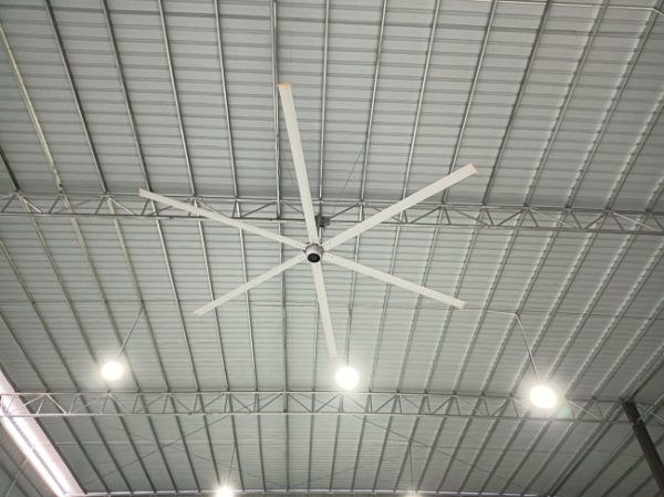 document_image_rId4_sm-459