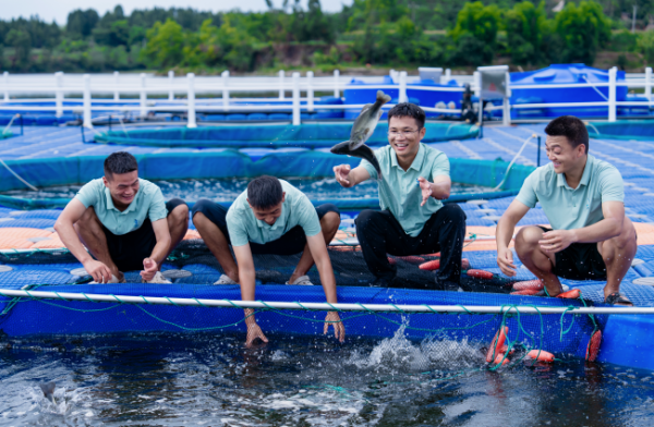 document_image_rId4_sm-556