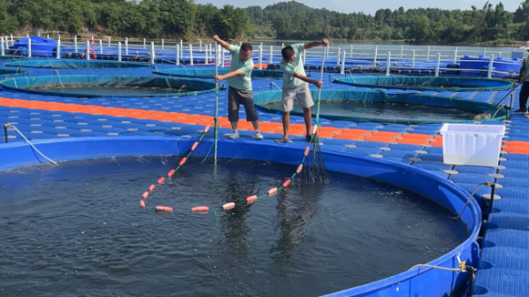 document_image_rId4_sm-59