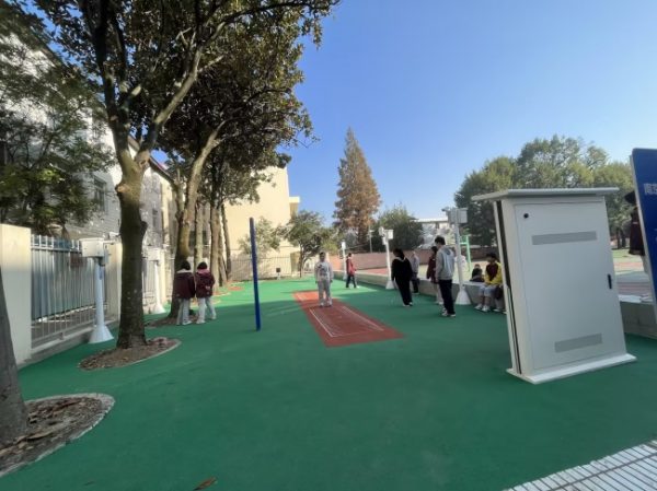 document_image_rId4_sm-954