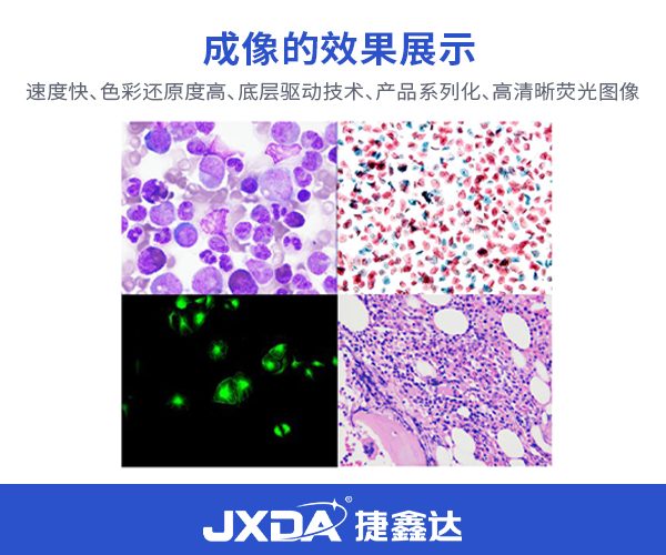 document_image_rId5-29
