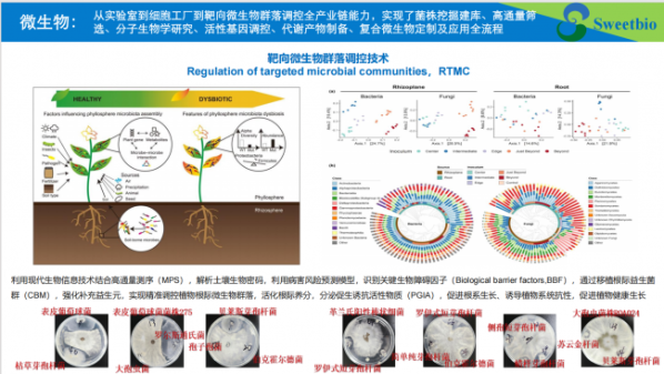 document_image_rId7_sm-19